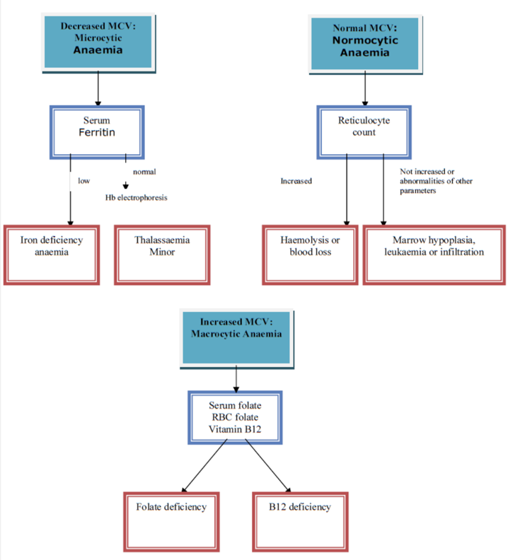 Anaemia in children with chronic kidney disease NHSGGC