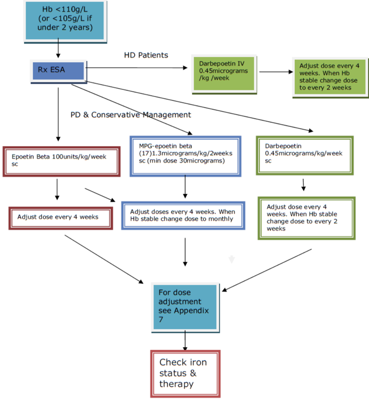 Anaemia in children with chronic kidney disease NHSGGC